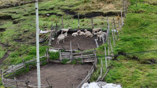 dji 20260227152800 d